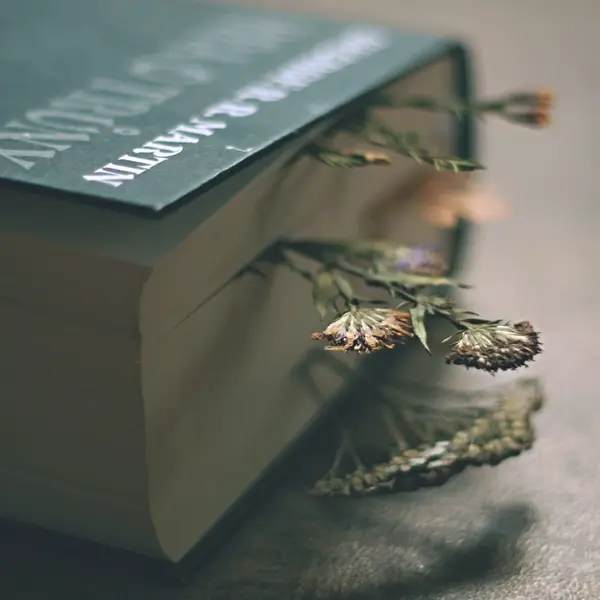 Fleurs séchées dans un livre